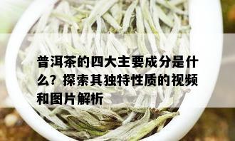 普洱茶的四大主要成分是什么？探索其独特性质的视频和图片解析