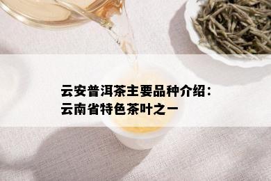 云安普洱茶主要品种介绍：云南省特色茶叶之一