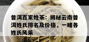 普洱百家姓茶：揭秘云南普洱姓氏排名及价格，一各姓氏风采