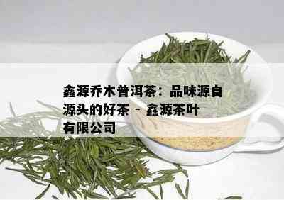 鑫源乔木普洱茶：品味源自源头的好茶 - 鑫源茶叶有限公司