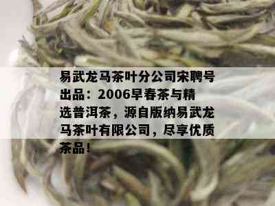 易武龙马茶叶分公司宋聘号出品：2006早春茶与精选普洱茶，源自版纳易武龙马茶叶有限公司，尽享优质茶品！