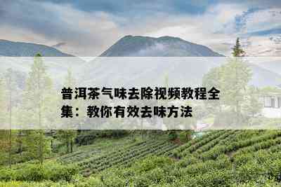 普洱茶气味去除视频教程全集：教你有效去味方法