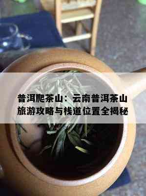 普洱爬茶山：云南普洱茶山旅游攻略与栈道位置全揭秘