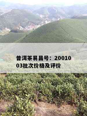 普洱茶易昌号：2001003批次价格及评价