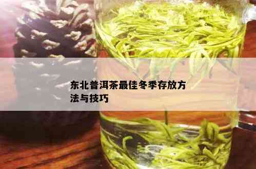 东北普洱茶更佳冬季存放方法与技巧