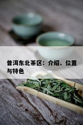 普洱东北茶区：介绍、位置与特色