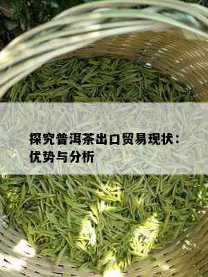 探究普洱茶出口贸易现状：优势与分析