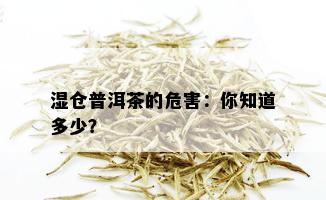 湿仓普洱茶的危害：你知道多少？