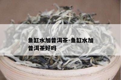 鱼缸水加普洱茶-鱼缸水加普洱茶好吗