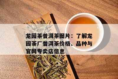 龙园茶普洱茶图片：了解龙园茶厂普洱茶价格、品种与官网专卖店信息