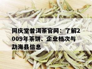 同庆堂普洱茶官网：了解2009年茶饼、企业档次与勐海县信息