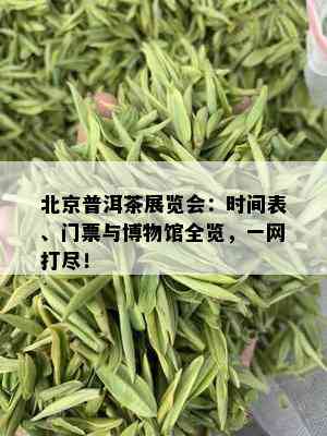 北京普洱茶展览会：时间表、门票与博物馆全览，一网打尽！