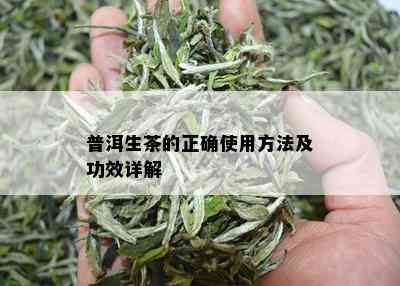 普洱生茶的正确使用方法及功效详解