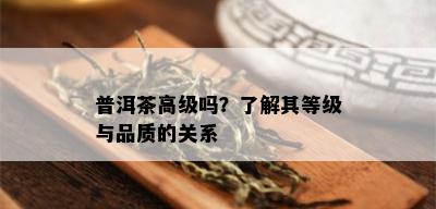 普洱茶高级吗？了解其等级与品质的关系