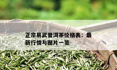 正宗易武普洱茶价格表：最新行情与图片一览