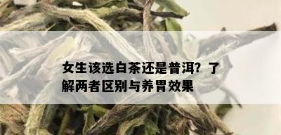 女生该选白茶还是普洱？了解两者区别与养胃效果