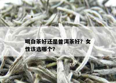 喝白茶好还是普洱茶好？女性该选哪个？