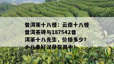 普洱茶十八怪：云南十八怪普洱茶砖与187542普洱茶十八先生，价格多少？十八条好汉尽在其中！