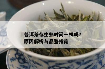 普洱茶存生熟时间一样吗？原因解析与品鉴指南