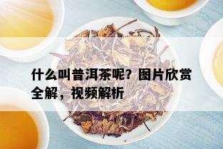 什么叫普洱茶呢？图片欣赏全解，视频解析