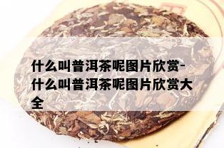 什么叫普洱茶呢图片欣赏-什么叫普洱茶呢图片欣赏大全