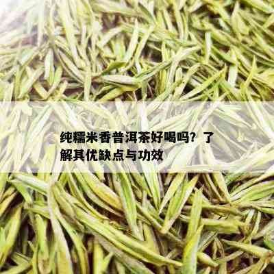 纯糯米香普洱茶好喝吗？了解其优缺点与功效