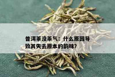 普洱茶没茶气：什么原因导致其失去原本的韵味？