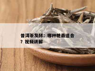 普洱茶发酵：哪种糖最适合？视频讲解