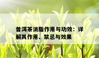 普洱茶消脂作用与功效：详解其作用、禁忌与效果