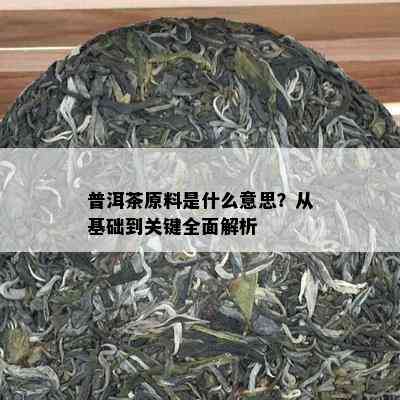 普洱茶原料是什么意思？从基础到关键全面解析