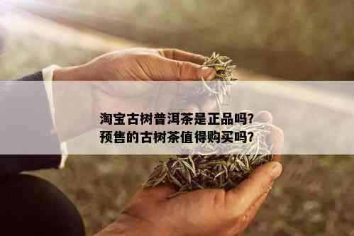 淘宝古树普洱茶是正品吗？预售的古树茶值得购买吗？