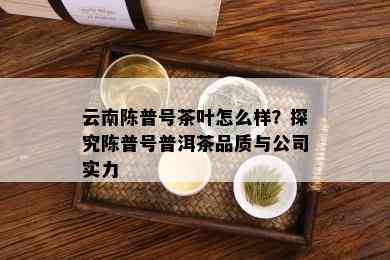 云南陈普号茶叶怎么样？探究陈普号普洱茶品质与公司实力