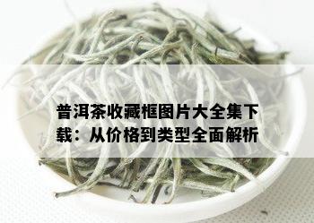 普洱茶收藏框图片大全集下载：从价格到类型全面解析