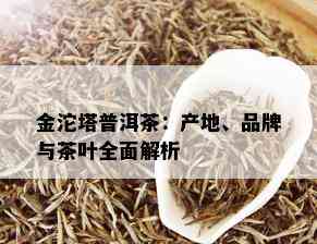 金沱塔普洱茶：产地、品牌与茶叶全面解析