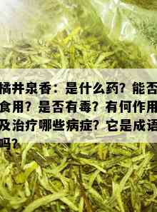 橘井泉香：是什么药？能否食用？是否有？有何作用及治疗哪些病症？它是成语吗？