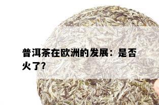 普洱茶在欧洲的发展：是否火了？