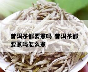 普洱茶都要煮吗-普洱茶都要煮吗怎么煮