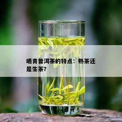 晒青普洱茶的特点：熟茶还是生茶？