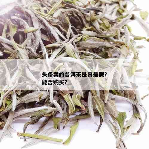 头条卖的普洱茶是真是假？能否购买？