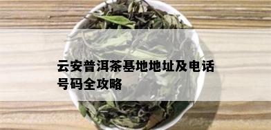 云安普洱茶基地地址及电话号码全攻略