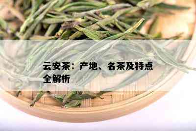 云安茶：产地、名茶及特点全解析