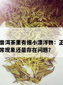 普洱茶里有细小漂浮物：正常现象还是存在问题？