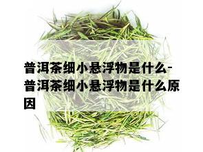 普洱茶细小悬浮物是什么-普洱茶细小悬浮物是什么原因