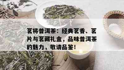 茗将普洱茶：经典茗香、茗片与茗藏礼盒，品味普洱茶的魅力，敬请品鉴！