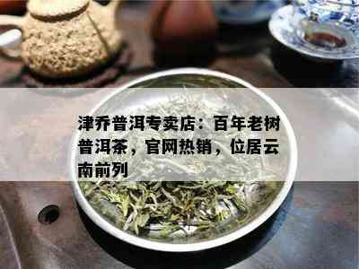 津乔普洱专卖店：百年老树普洱茶，官网热销，位居云南前列