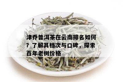 津乔普洱茶在云南排名如何？了解其档次与口碑，探索百年老树价格