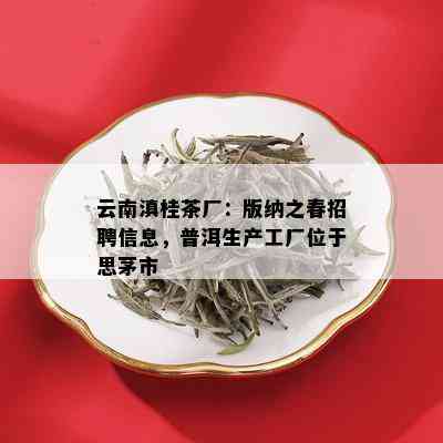 云南滇桂茶厂：版纳之春招聘信息，普洱生产工厂位于思茅市