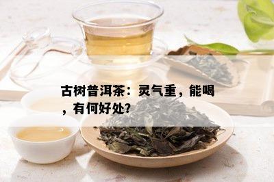 古树普洱茶：灵气重，能喝，有何好处？