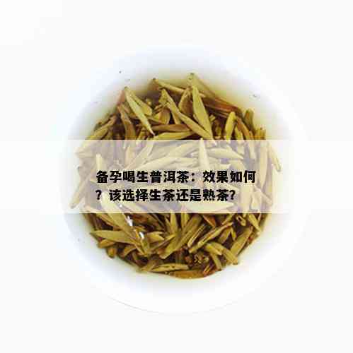 备孕喝生普洱茶：效果如何？该选择生茶还是熟茶？