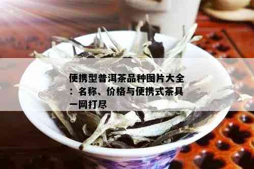 便携型普洱茶品种图片大全：名称、价格与便携式茶具一网打尽